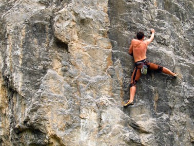 2024-es tagi jelentkezés - felhívás