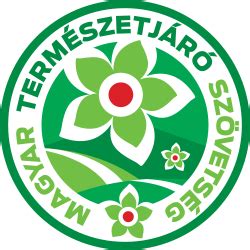 mtsz